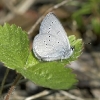 cupmin09062005hei_140dickforsman_w.jpg