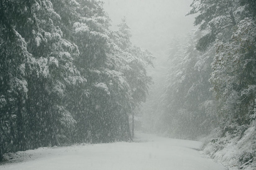 The situation on the road about 1 km before I had to abandon the car.