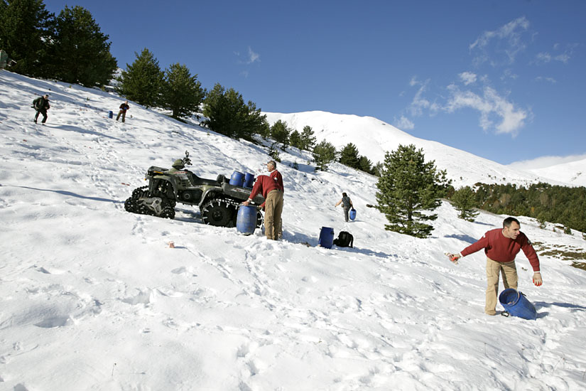 The combined forces of FCQ and the Parque Nacional spreading out the food
